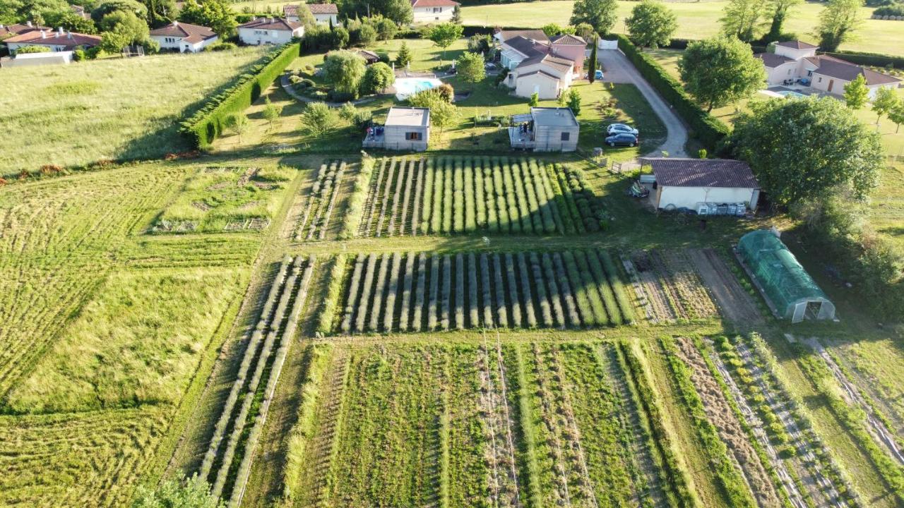 Domaine D'Elusa Vic-Fezensac Exteriör bild