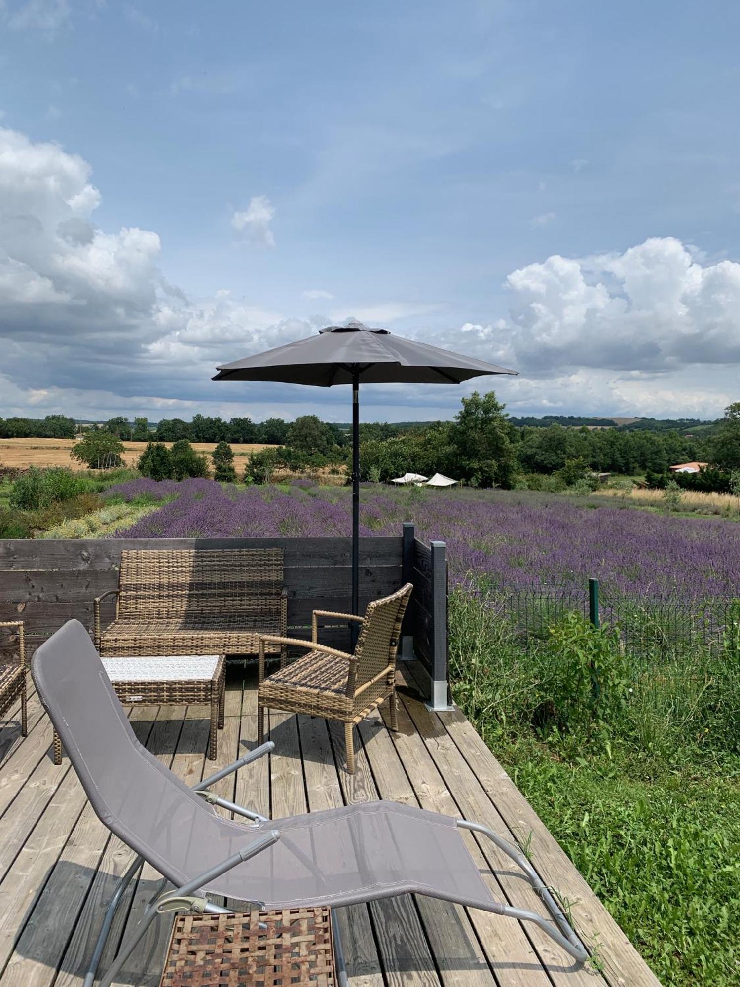 Domaine D'Elusa Vic-Fezensac Exteriör bild